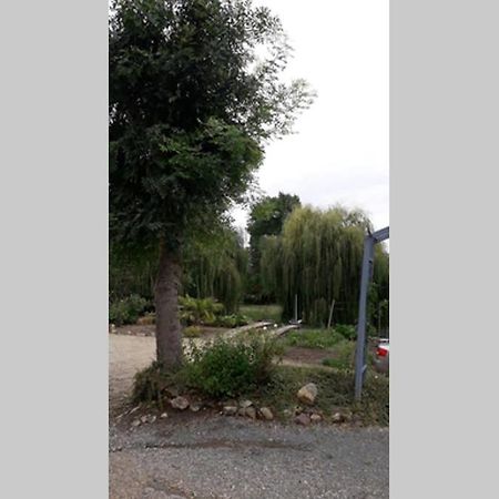 Apartmán Entre Vignes Et Loire Blaison-Saint-Sulpice Exteriér fotografie