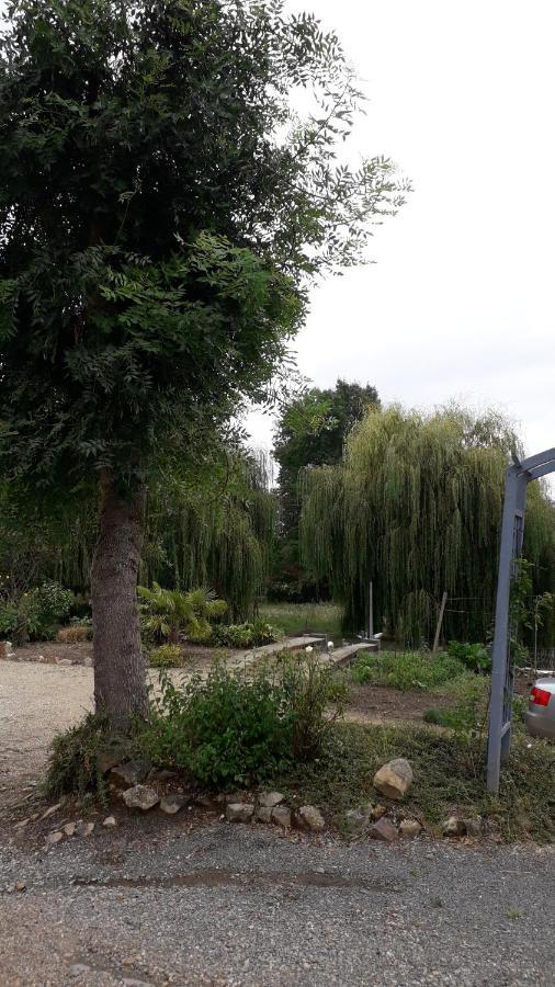 Apartmán Entre Vignes Et Loire Blaison-Saint-Sulpice Exteriér fotografie